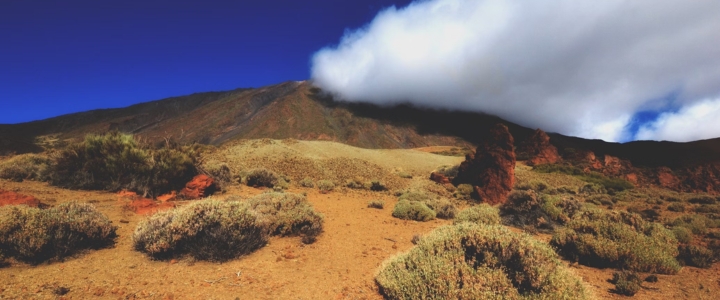 Vulkan Teide au Teneriffa umgeben von grün-gelber Vegetation.