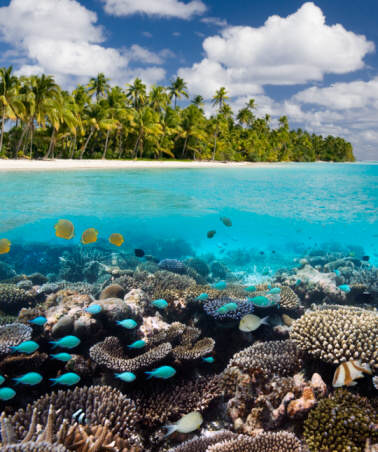 Malediven Unterwasserwelt