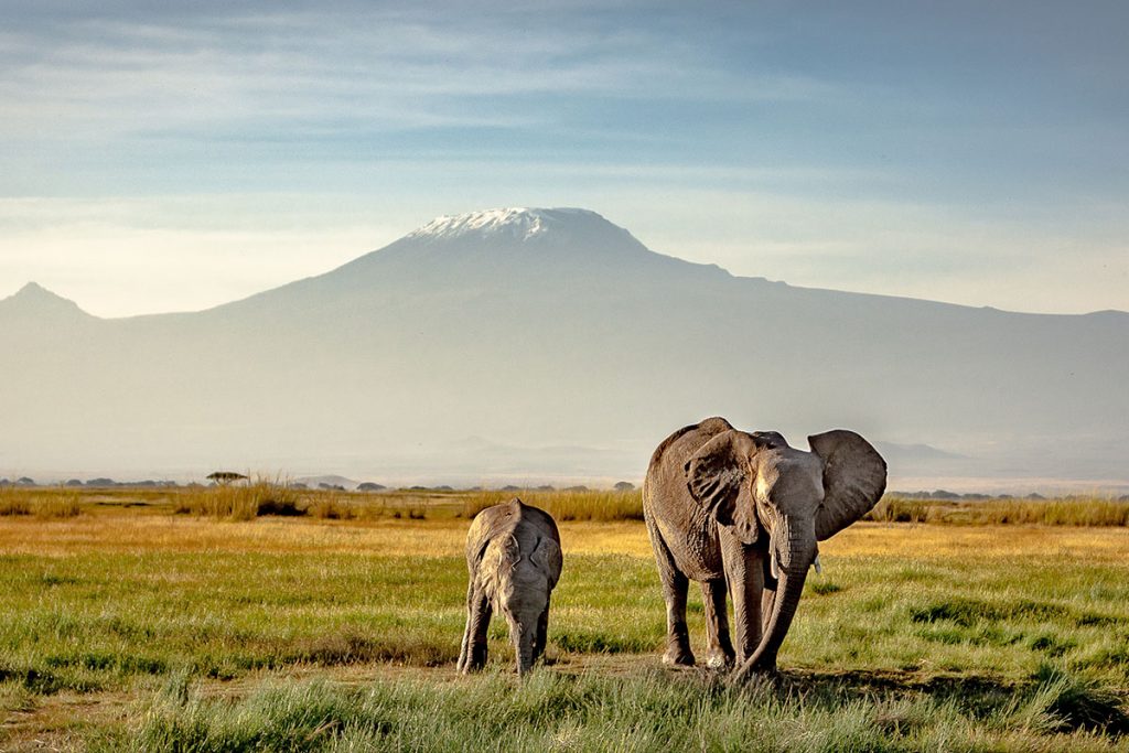 Tansania - Kilimandscharo