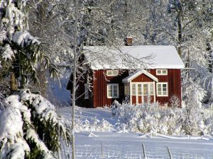 ferienhaus, schnee, winterurlaub günstig, wald