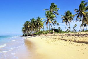 dominikanische republik, strand, meer, palmen