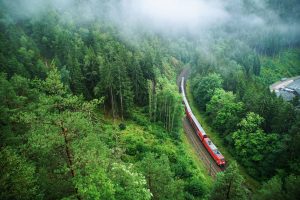 Schwarzwald, Schwarzwaldbahn, Wald, Reisetipps 9-Euro-Ticket