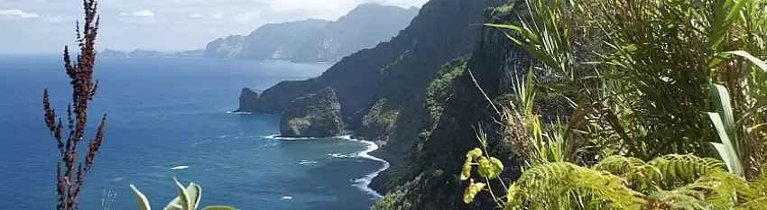 Madeira Flitterwochen